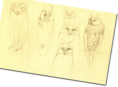 Zahlreiche Skizzen und Naturstudien dokumentieren die intensive Auseinandersetzung der Gestalterinnen von Wendt und Kühn mit den faszinierenden Vögeln.